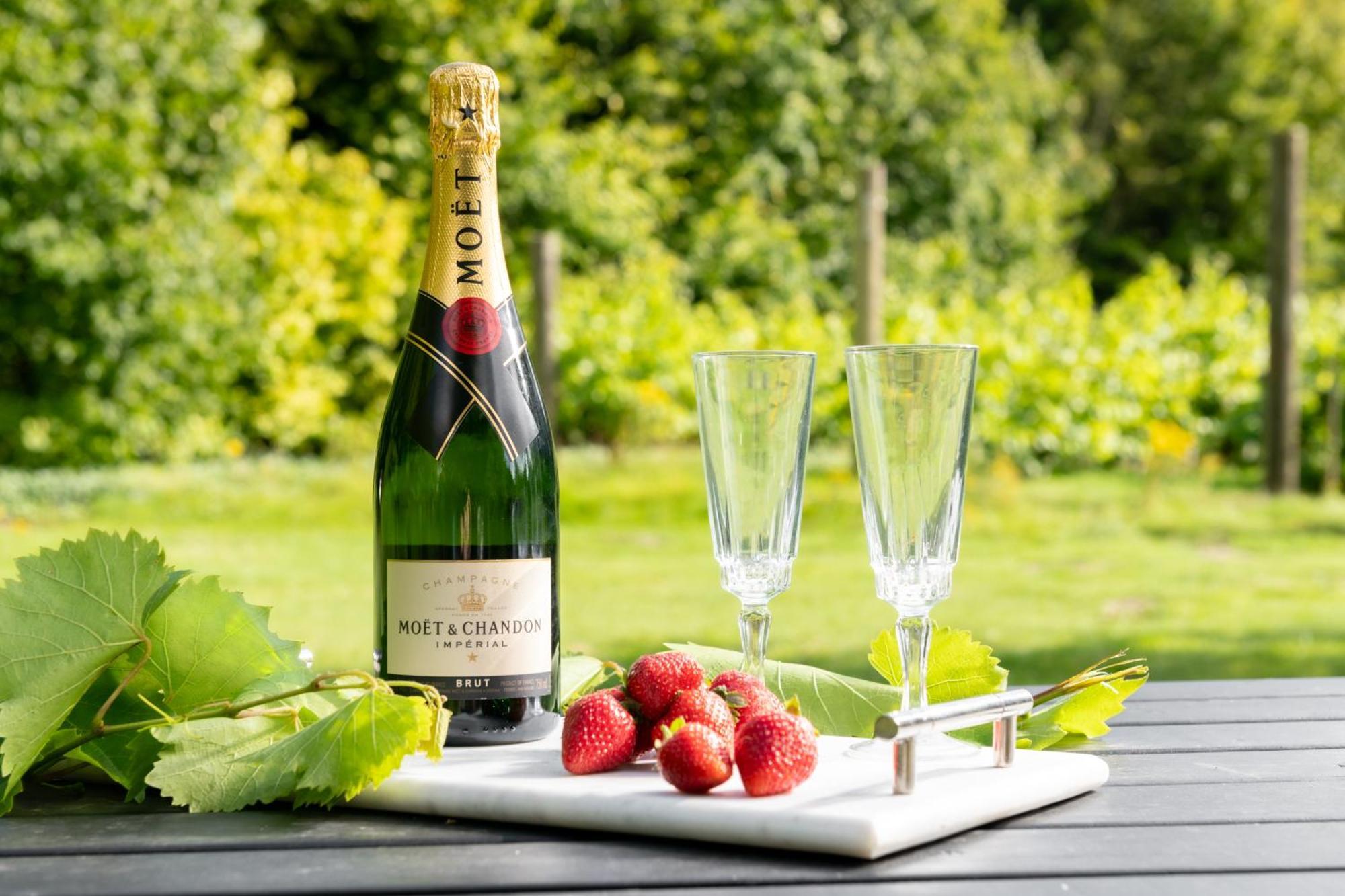 Downwood Vineyard Manor In Idyllic Countryside Holiday home *