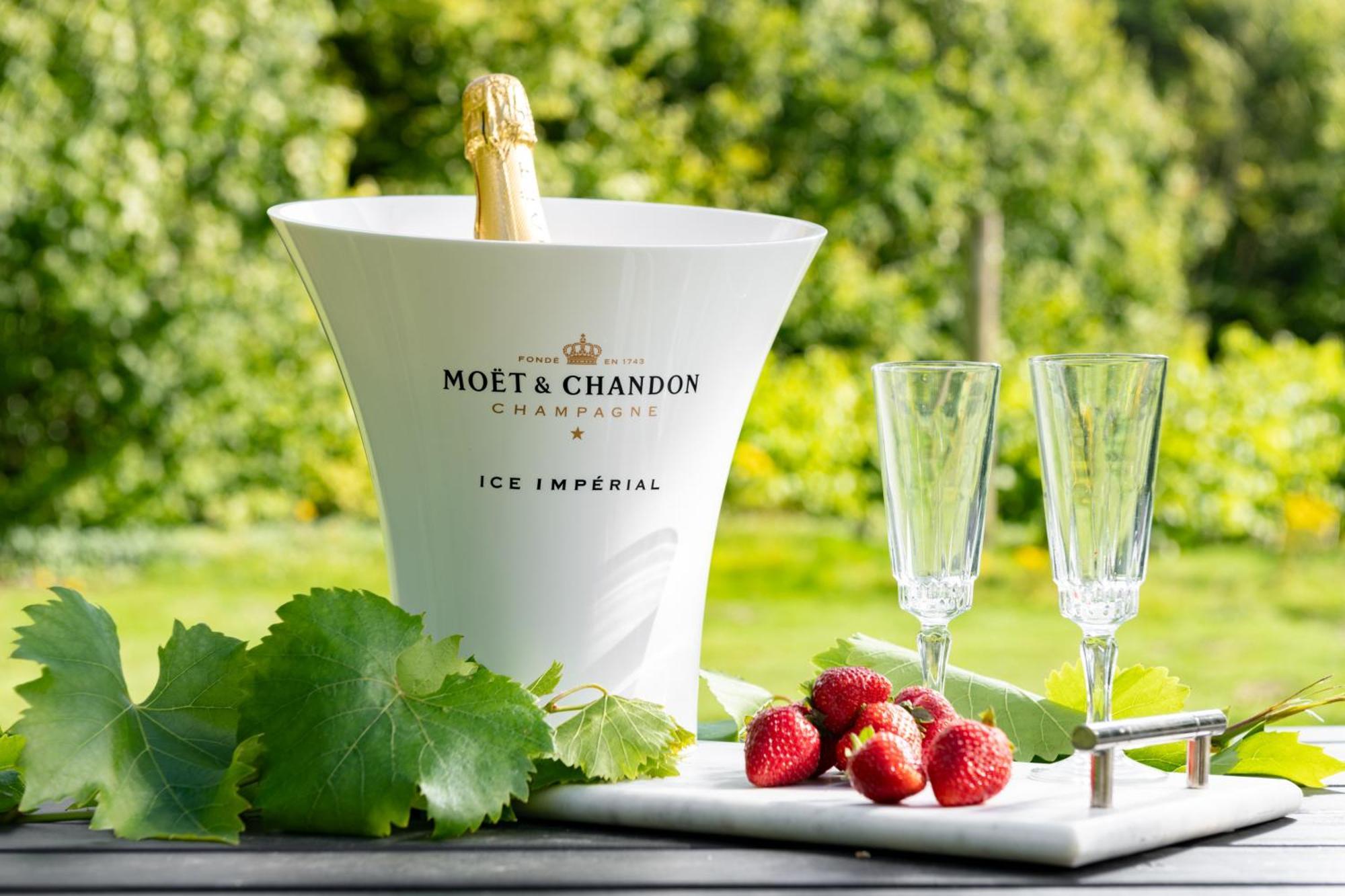Downwood Vineyard Manor In Idyllic Countryside Blandford Forum